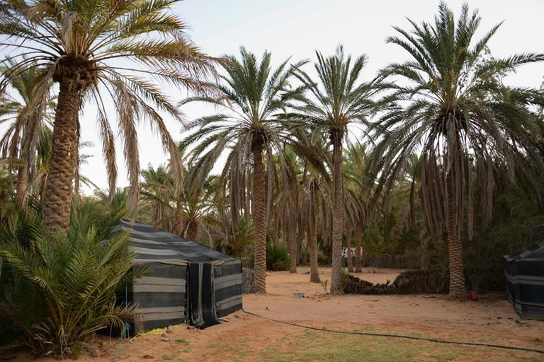 Excursion dans le désert tunisien : Ksar Ghilan et les sites de la Guerre des étoiles