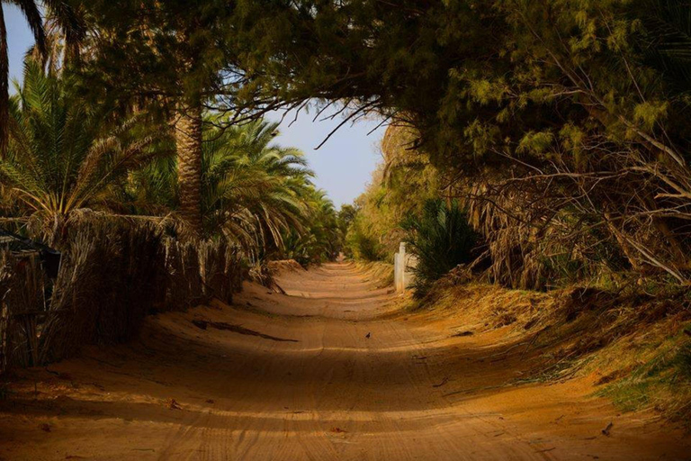 Excursion dans le désert tunisien : Ksar Ghilan et les sites de la Guerre des étoiles