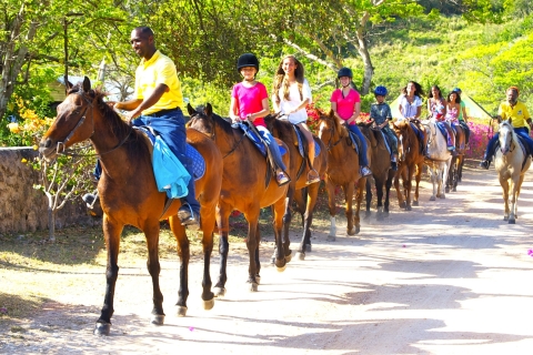 De Montego Bay: équitation et baignadeDepuis les hôtels de Montego Bay