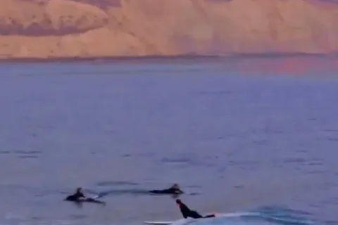 Prenez votre première vague avec des cours de surf pour débutants