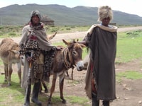 From Underberg, Sani Pass Day Tour - Housity