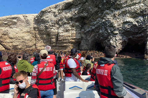 From Huacachina: Ballestas Island and Paracas Reserve Tour