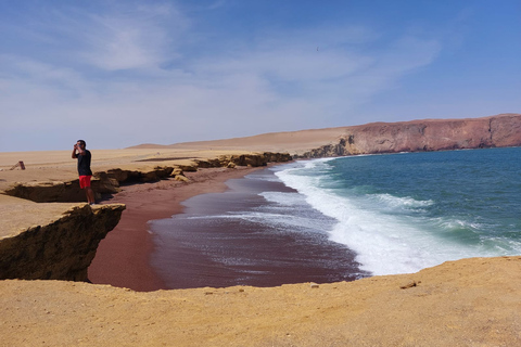 From Huacachina: Ballestas Island and Paracas Reserve Tour