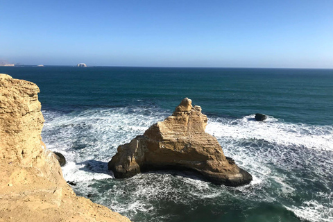 From Huacachina: Ballestas Island and Paracas Reserve Tour