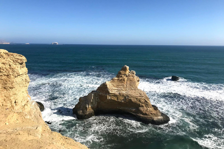 From Huacachina: Ballestas Island and Paracas Reserve Tour