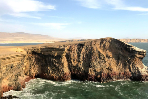 From Huacachina: Ballestas Island and Paracas Reserve Tour