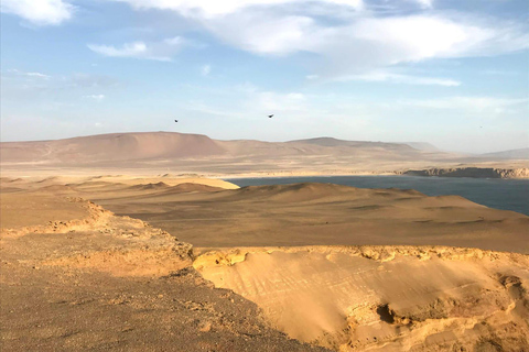 From Huacachina: Ballestas Island and Paracas Reserve Tour