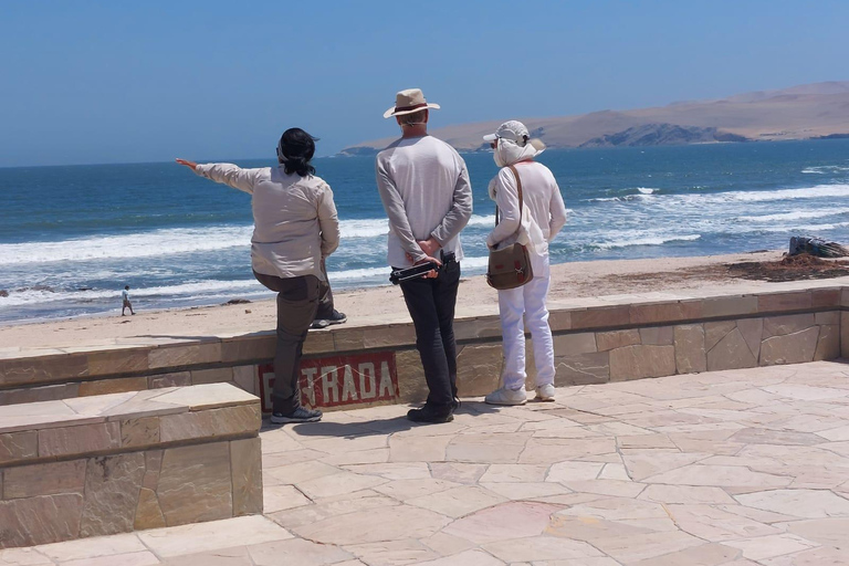 From Huacachina: Ballestas Island and Paracas Reserve Tour