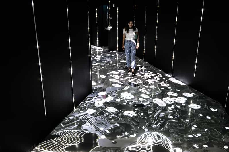 Washington, DC ARTECHOUSE Immersive Art Experience Ticket GetYourGuide