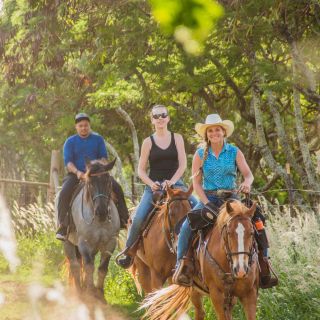 From Honolulu: North Shore Horseback Adventure with Transfer