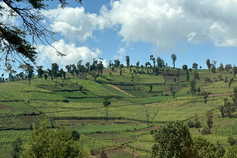 Vanuit Nairobi: Dagtrip Nationaal Park Lake Nakuru