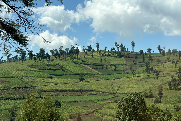 Desde Nairobi Excursión de un día al Parque Nacional del Lago Nakuru