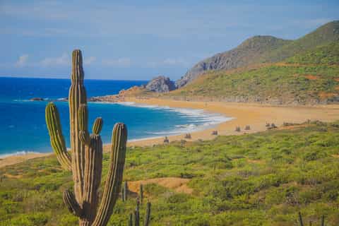 Cabo San Lucas: Los Cabos Beach and Desert ATV Adventure