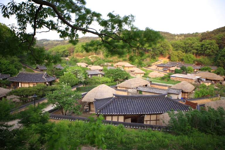 Busan : excursion d'une journée à Gyeongju, patrimoine mondial de l'UNESCOVisite partagée du patrimoine - Rendez-vous à la gare de Haeundae
