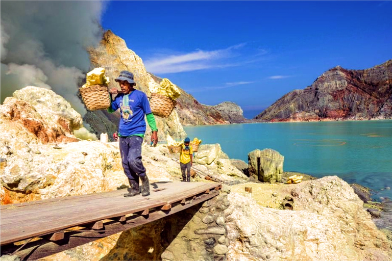 From Bali or Banyuwangi: Ijen Crater Sunrise Hike Pickup and drop-off in Banyuwangi