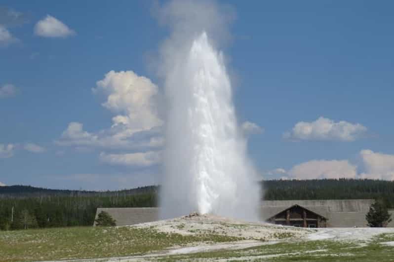 West Yellowstone Yellowstone Lower Loop Day Trip with Lunch GetYourGuide