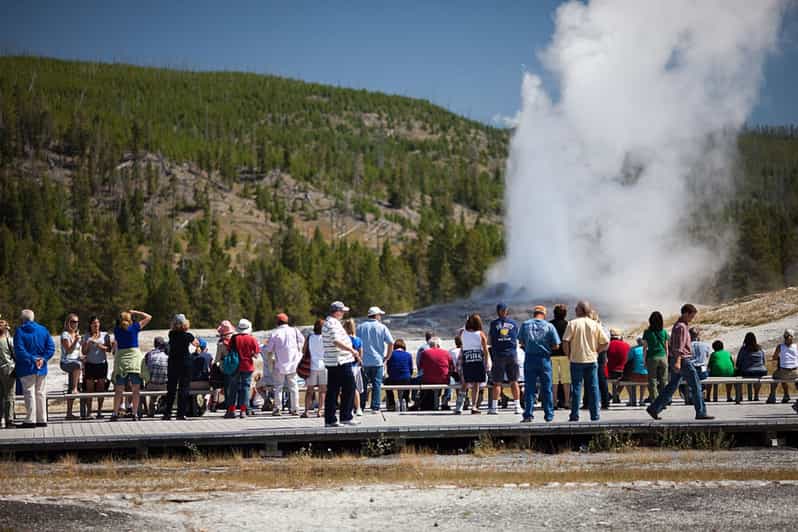 West Yellowstone Yellowstone Lower Loop Day Trip with Lunch GetYourGuide