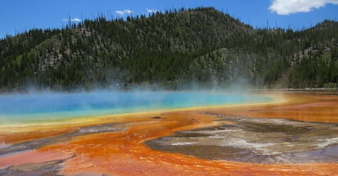 West Yellowstone Yellowstone Lower Loop Day Trip with Lunch GetYourGuide