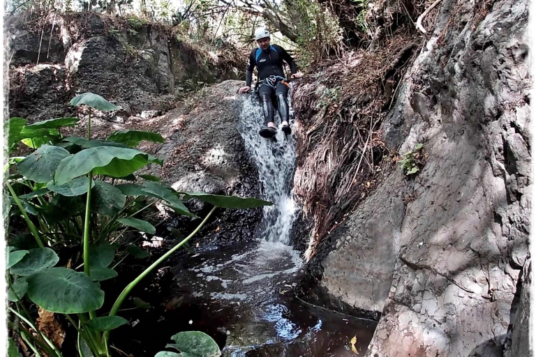 Las Palmas: zjazd w dżungli na Gran Canarii z wodospadamiKanioning: Zjazd na linie z wodospadami w dżungli Gran Canarii