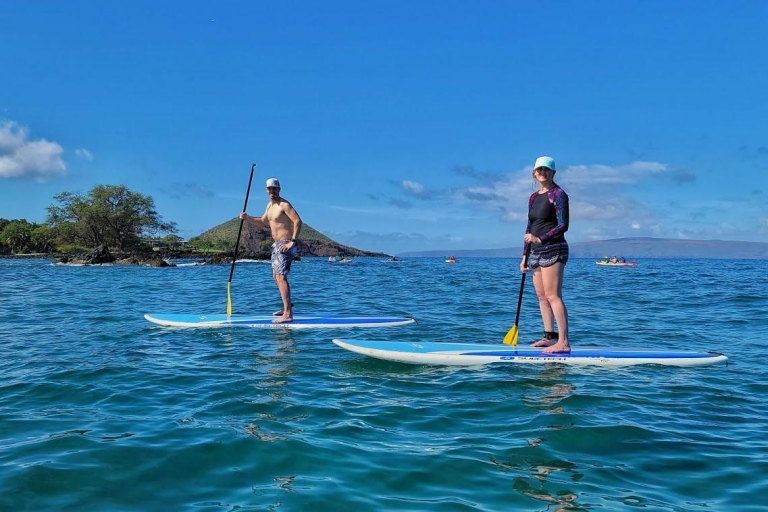Maui: visite à la pagaie à la baie de MakenaMakena Bay: Pagaie et plongée libre en petit groupe avec guide