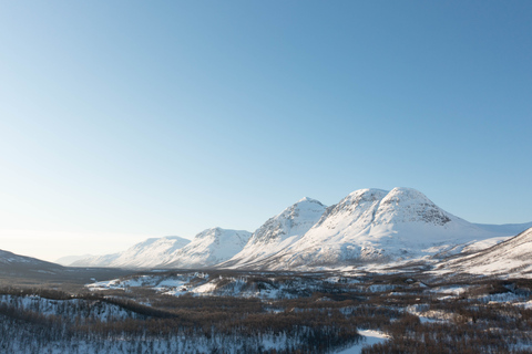 Breivikeidet: Introduction to Cross-Country SkiingIntroduction to Cross-Country Skiing - 8:10 AM