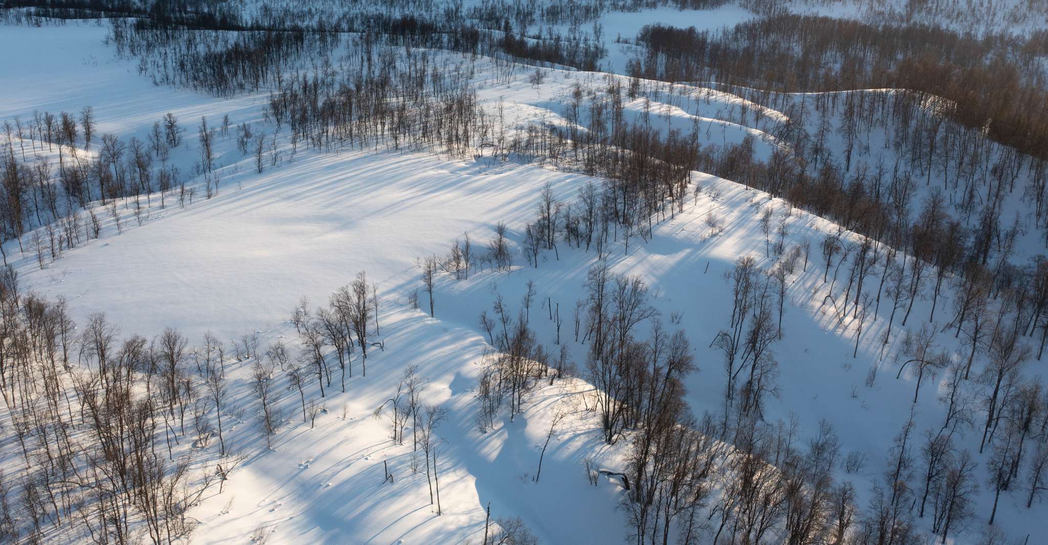 Breivikeidet, Introduction to Cross-Country Skiing, Tromso, Norway