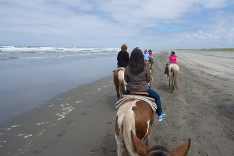 Agadir: Camel Ride With Tea & BBQ Dinner Option From Agadir with Dinner