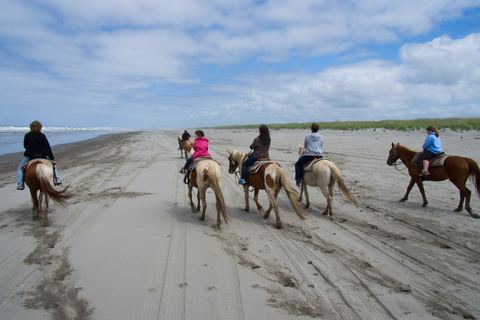 Agadir: Camel Ride With Tea &amp; BBQ Dinner OptionFrom Agadir with Dinner