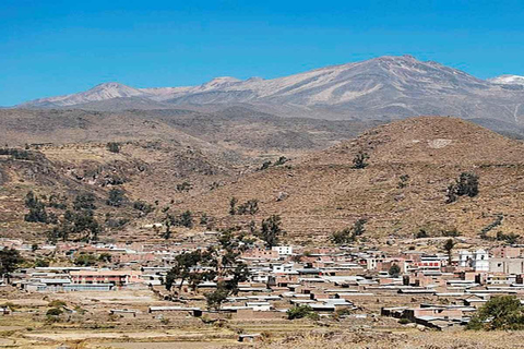 From Arequipa: 3-day hike through the Colca Canyon