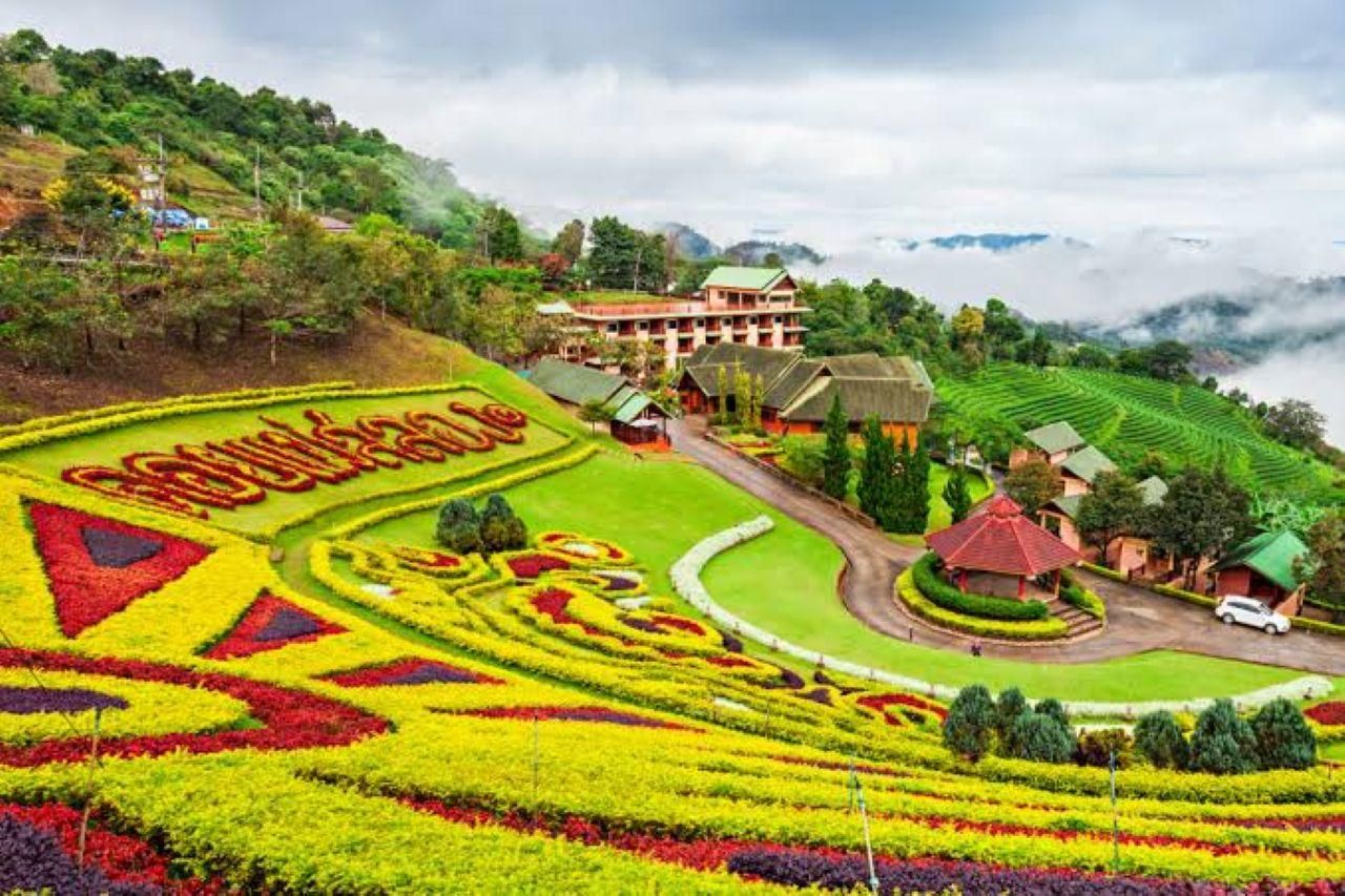 Chiang Rai: Private Tour Doi Mae Salong & Teeplantage 101