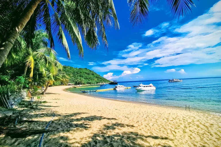 Visita le isole Cham e fai snorkeling e immersioni subacqueeTour di gruppo