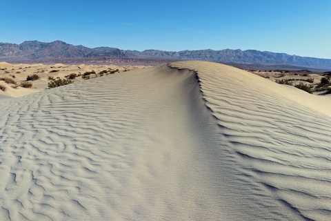 Taghazout: Sanddünen Erlebnis Geführte Tour mit MittagessenTaghazout Sanddünen Erlebnis