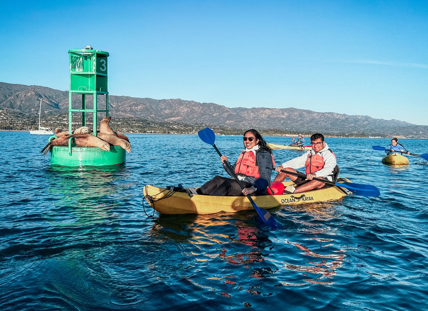 Santa Barbara: Guidet tur i kajak med vilde dyr