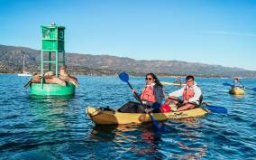 Santa Barbara: Guided Kayak Wildlife Tour