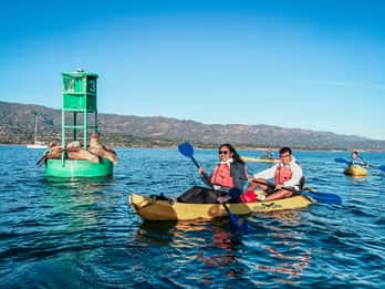 Porto de Santa Bárbara: Passeio de caiaque pela vida selvagem (2 horas)