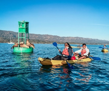 Santa Barbara Harbor: Wildlife Kayak Tour (2 Hours)