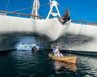 Santa Barbara, Guided Kayak Tour - Housity