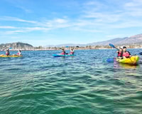 Santa Barbara, Guided Kayak Tour - Housity