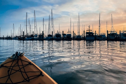 Santa Barbara: excursion en kayak au coucher du soleil