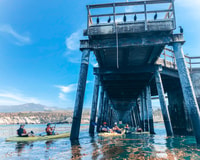 Santa Barbara, visite de kayak sur la plage de Haskell - Hizvo