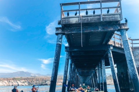 Santa Barbara: wycieczka kajakiem po plaży HaskellaOpcja standardowa