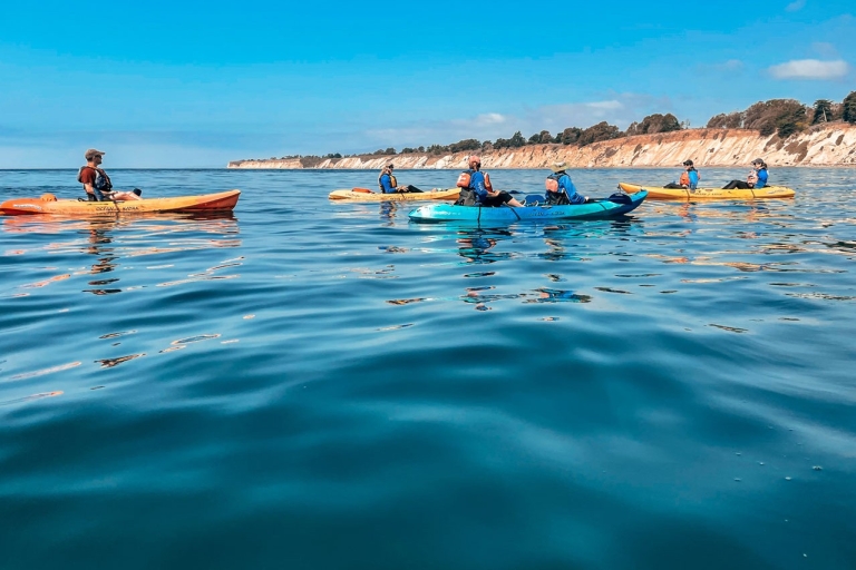 Santa Barbara: excursion en kayak sur la plage de HaskellOption standard
