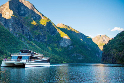 Bergen: excursão guiada de ônibus por Nærøyfjorden, Flåm e Stegastein