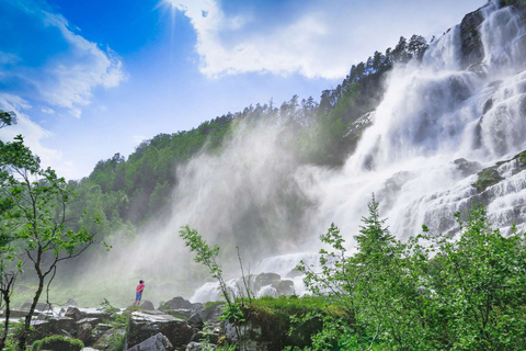 Bergen: Nærøyfjorden, Flåm och Stegastein Guidad tur med buss