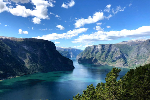 Bergen: Nærøyfjorden, Flåm i Stegastein - wycieczka z przewodnikiem autobusowym