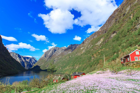 Bergen: Nærøyfjorden, Flåm och Stegastein Guidad tur med buss