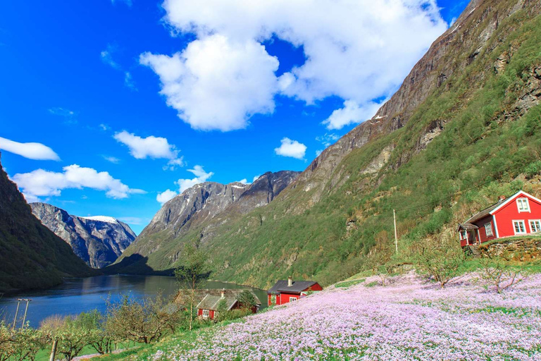 Bergen: excursão guiada de ônibus por Nærøyfjorden, Flåm e Stegastein