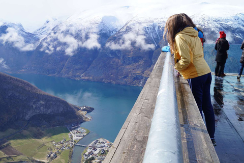 Bergen: Nærøyfjorden, Flåm e Stegastein Tour guidato in autobus