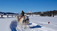 Jackson Hole, Tour con cioccolata calda - Hizvo