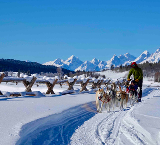 Esperienze gastronomiche a Jackson (Wyoming)